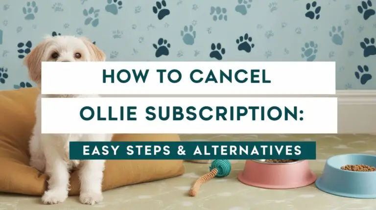 How to Cancel Ollie Subscription